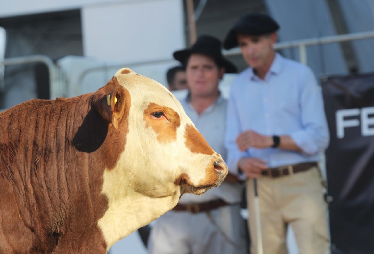 Fenagen 2025 terá novidade no critério de julgamento das raças