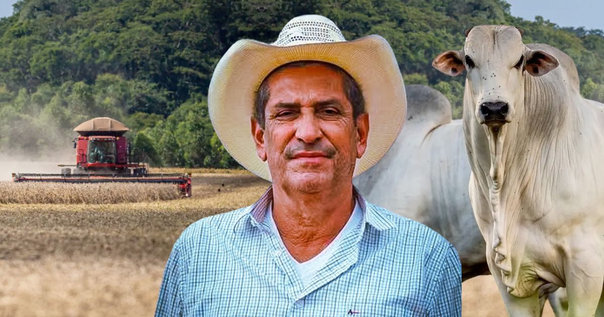Jose Donizete Paifer - situacao do agronegocio