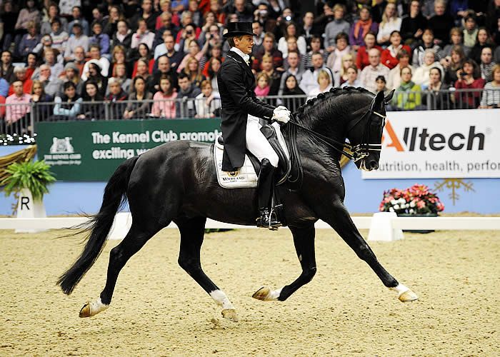 cavalos mais caros da história