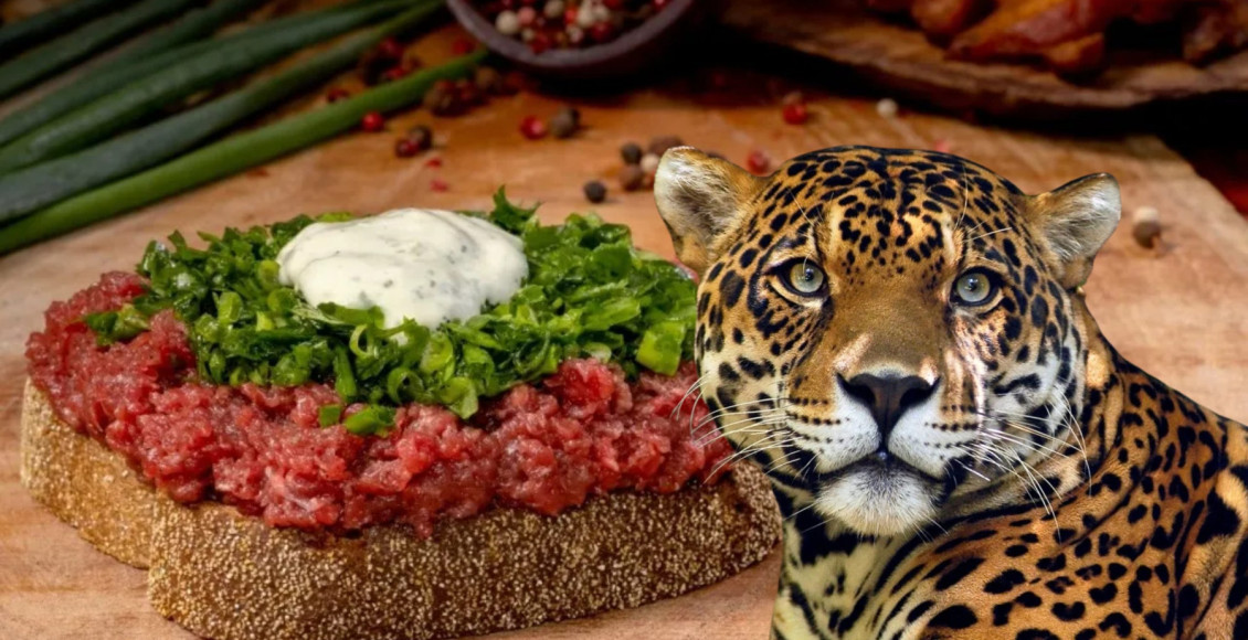 Você já ouviu falar na carne de onça? Descubra o prato típico de Curitiba