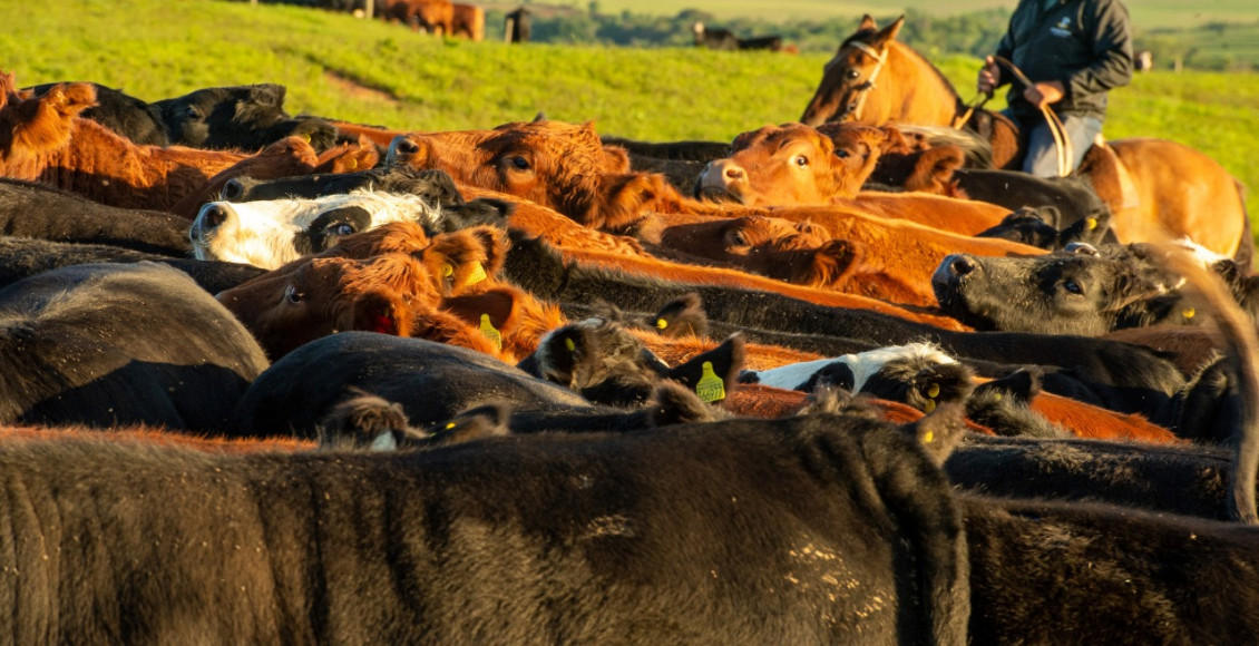 Mais de 35 mil fazendeiros correm risco de perda do imóvel para a União