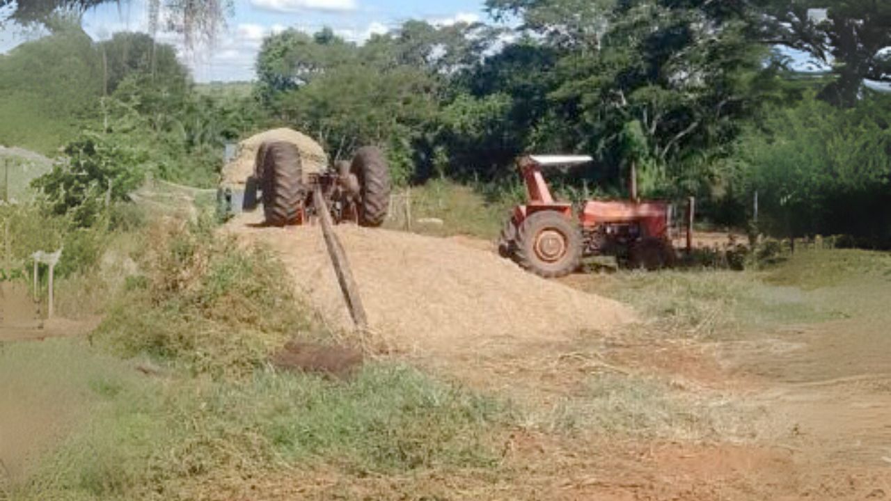 Trabalhador rural morre apos acidente fazenda silagem