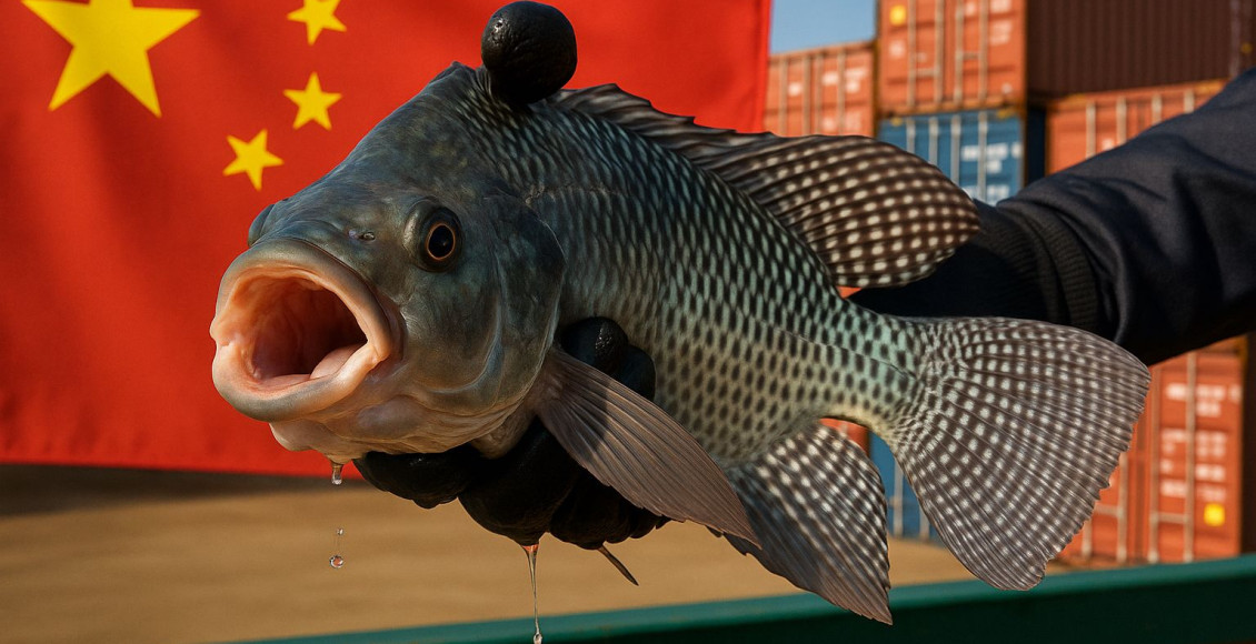exportacao de pescado para China