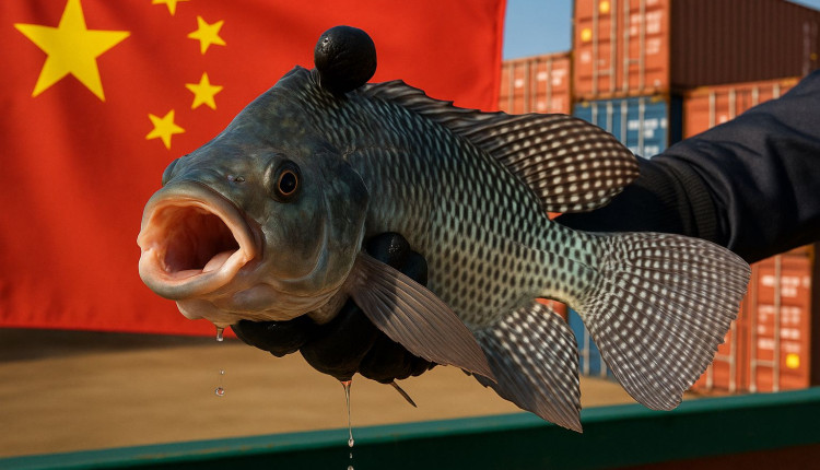 exportacao de pescado para China