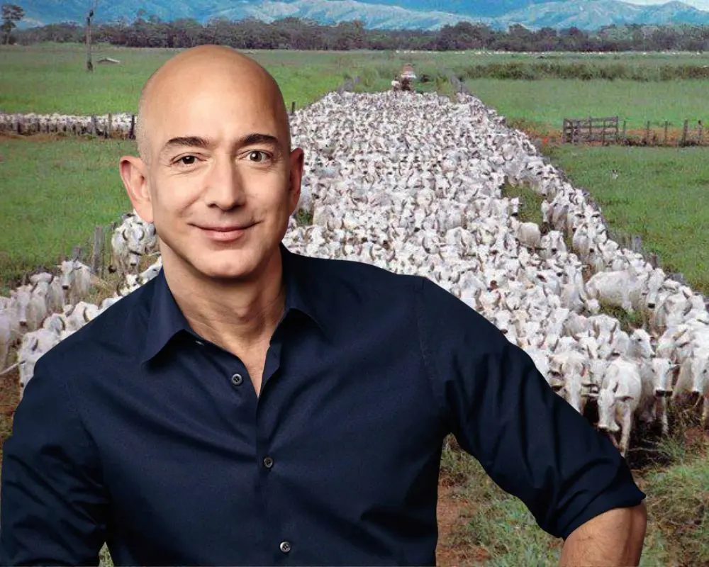 Jeff Bezos investe US$ 27,4 milhões e vai criar gado com baixo teor de metano pecuária