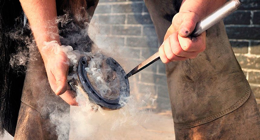 Por que os cavalos usam ferradura? Entenda a importância