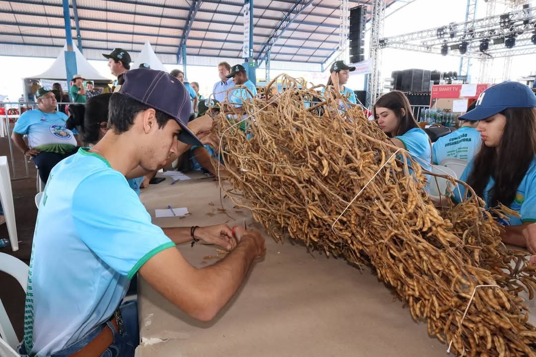 Concurso Pé de Soja Solteiro realizado há 25 anos em Laguna Carapã (MS) premia recordistas e incentiva boas práticas agrícolas com reconhecimento oficial no calendário estadual