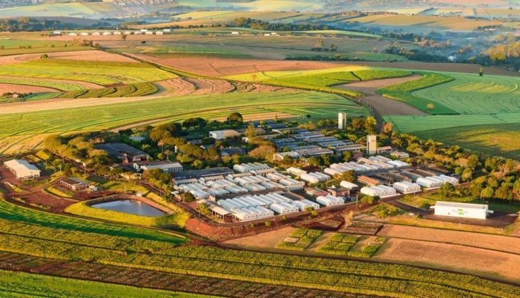 Cinco décadas de contribuição para a agricultura: Embrapa Soja faz 50 anos hoje