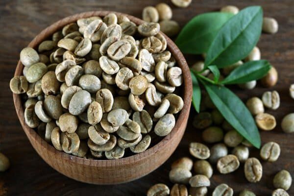 Conheça o poder do café verde: O grão que está ganhando espaço no agro