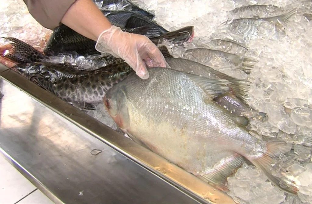 Como escolher o peixe certo na Semana Santa: dicas para não errar na compra