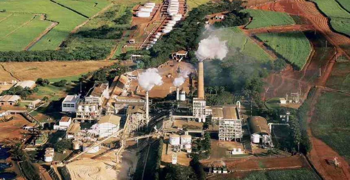 Grupo Pedra Agroindustrial