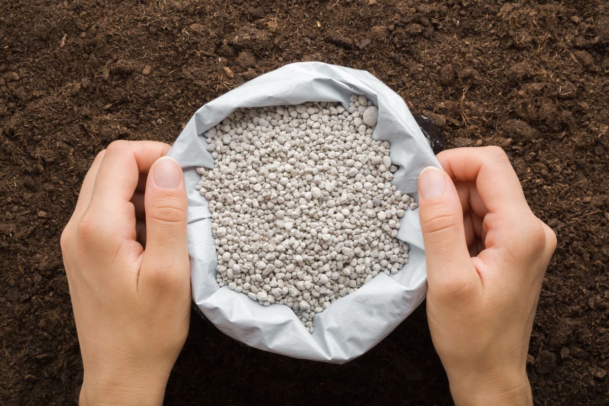 Entregas de fertilizantes em janeiro somam 3,7 milhões de t, diz Anda