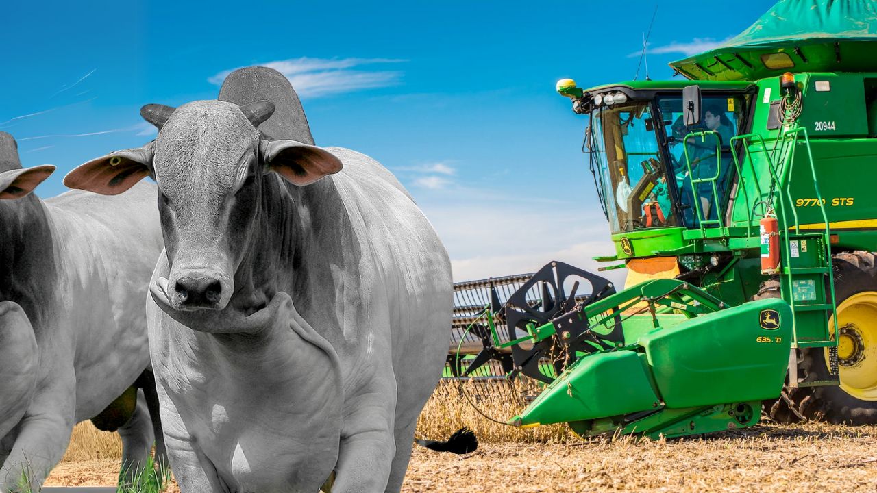 pecuaria versus agricultura escolha fotao crédito rural