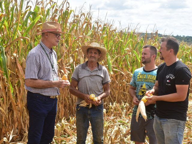 O pesquisador da Epagri Leandro Wildner (à esquerda), orienta Arlindo, Alex e Alessandro Valentini na adoção do SPDG (Foto: Aires Mariga / Epagri)
