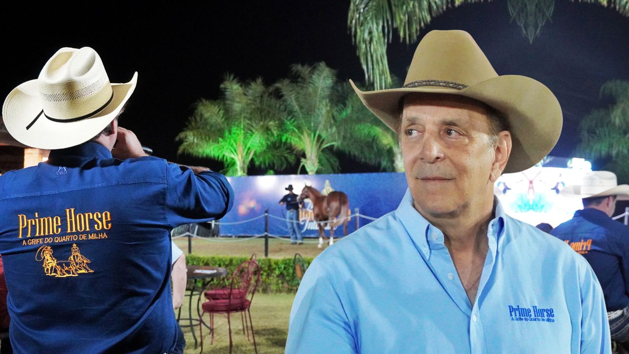 prime horse Jamil celebra 40 anos de historia ofertando alta genetica no Quarto de Milha