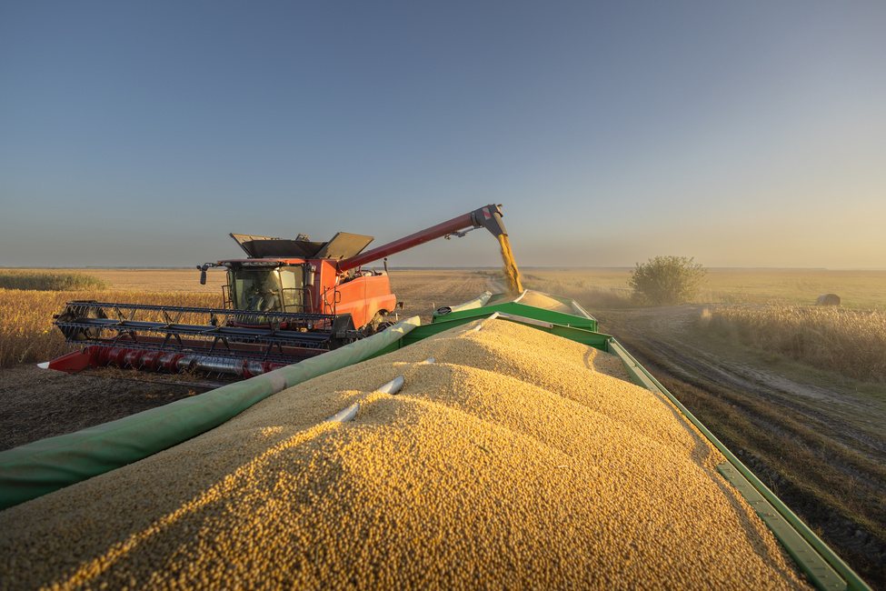 recuperação judicial