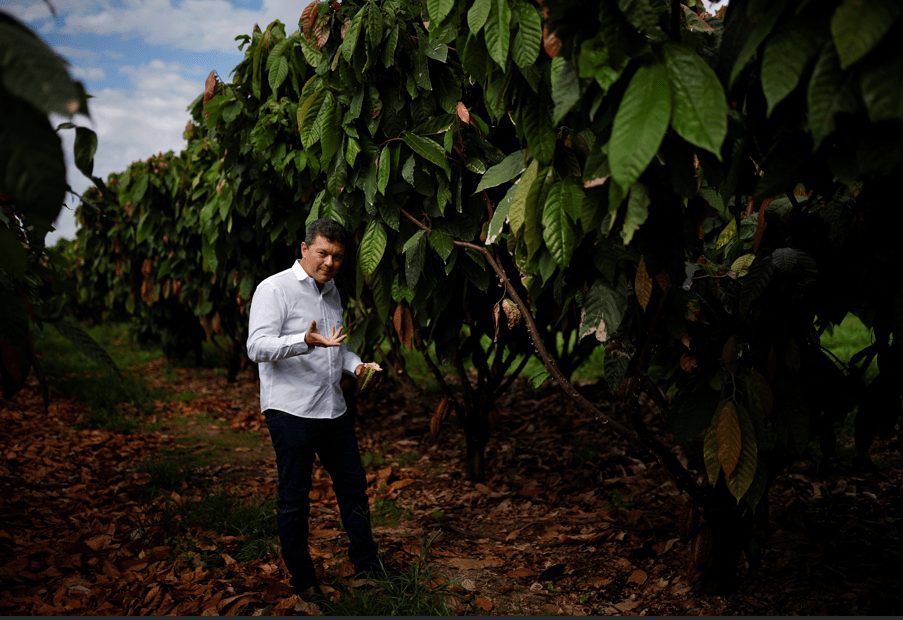 “Rei do Cacau” investe US$ 300 milhões para construir a maior fazenda de cacau do mundo