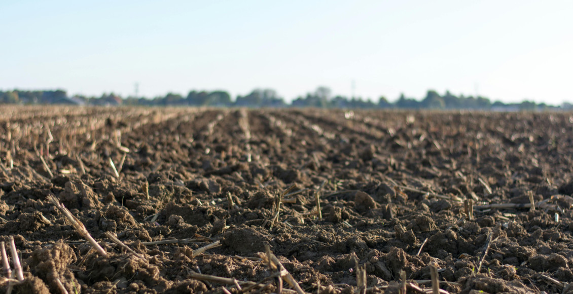 Esses dados ressaltam a importância de conscientizar os produtores e demais elos da cadeia agrícola sobre os cuidados com o solo.