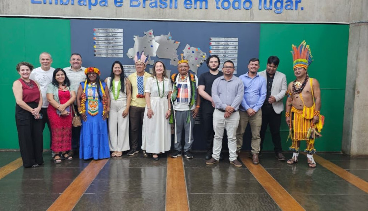 Lideranças pedem apoio à Embrapa para promover a agricultura familiar indígena