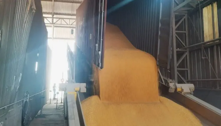 Novo tombador dobra fluxo de grãos da Brado em MT