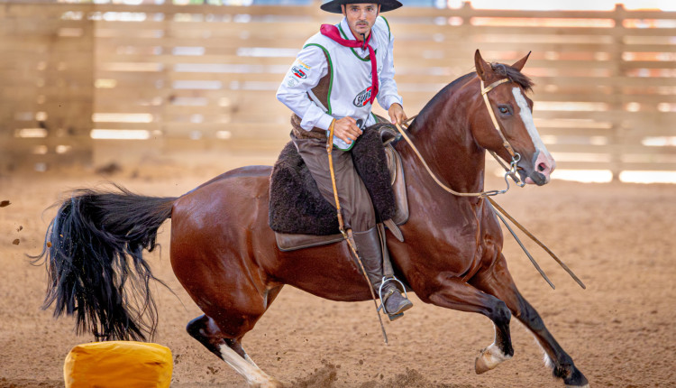 ABCCC: Animais estreantes no Freio de Ouro se classificam para a grande final em Esteio