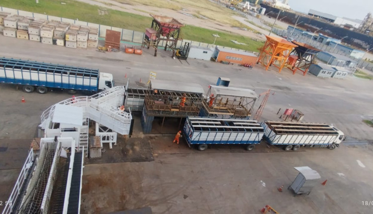 Sagres moderniza embarque de carga viva no Porto de Rio Grande com novo equipamento