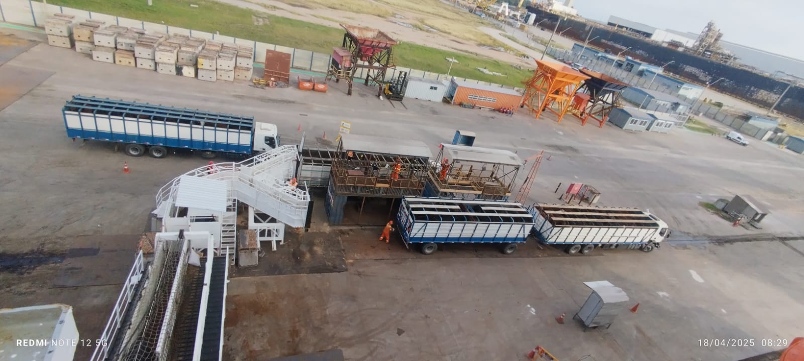 Sagres moderniza embarque de carga viva no Porto de Rio Grande com novo equipamento