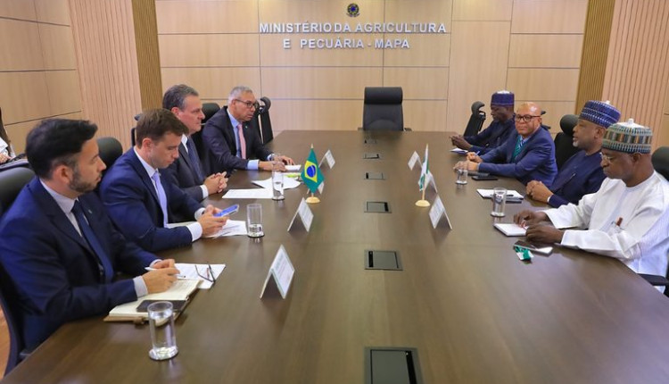 Ministro Fávaro recebe autoridades nigerianas para discutir cooperação agropecuária