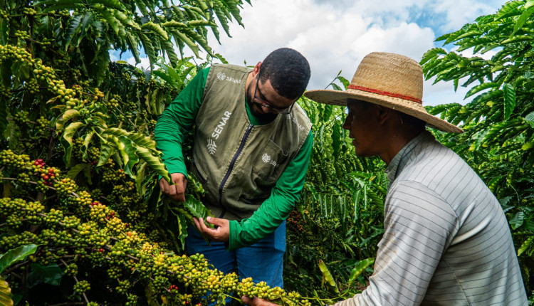Com apoio do Senar/MT, cafeicultores de Juína melhoram a produção e enxergam novos caminhos no campo
