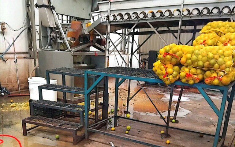Fiscalização interdita fábricas de suco no interior de São Paulo