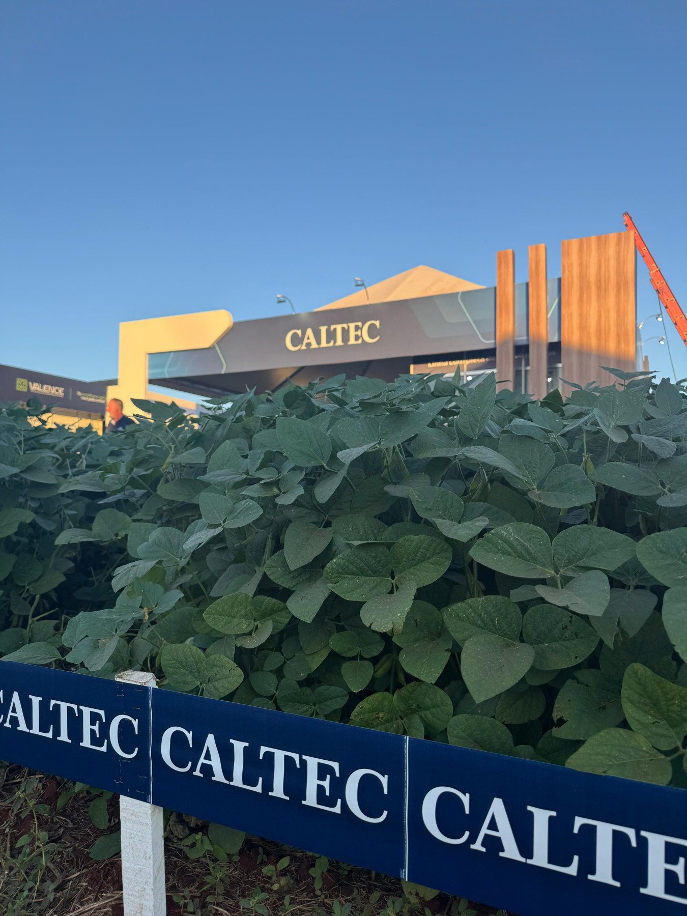 Com aumento de até 20% na produtividade da soja, óxidos de cálcio e magnésio são apresentados em estande no Showtec 2025