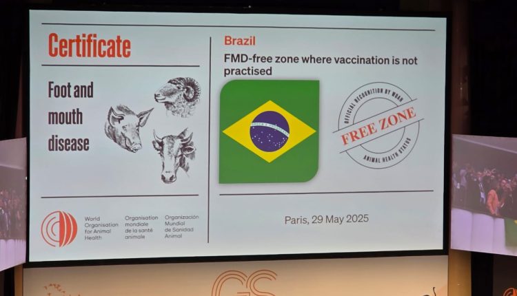 Organização Mundial de Saúde Animal reconhece o Brasil como país livre de febre aftosa sem vacinação
