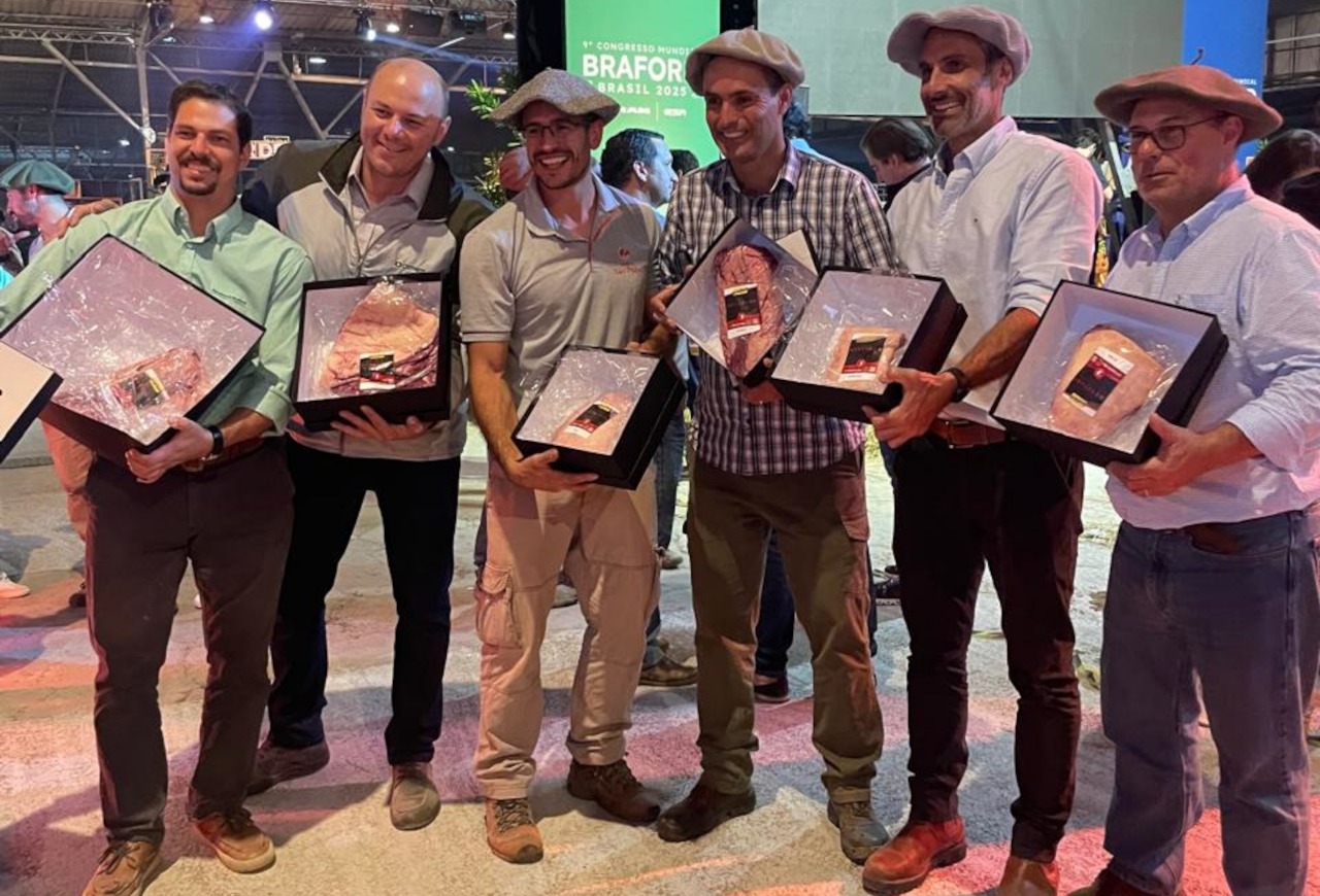 Leilão de cortes nobres movimenta noite no 9º Congresso Mundial Braford