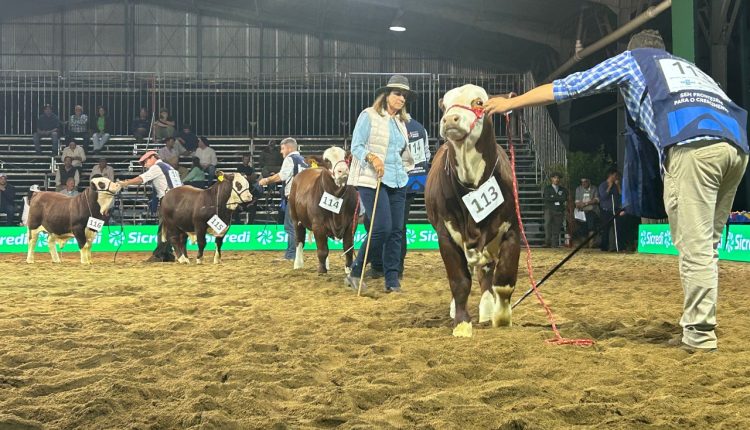 Brasil reafirma protagonismo global no 9º Congresso Mundial Braford