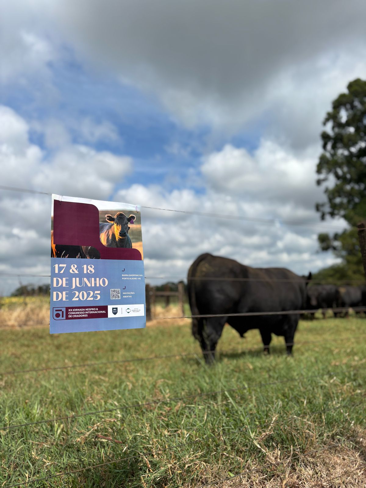 XX Jornada Nespro e I Congresso Internacional de Criadores marcam um novo capítulo no debate da pecuária