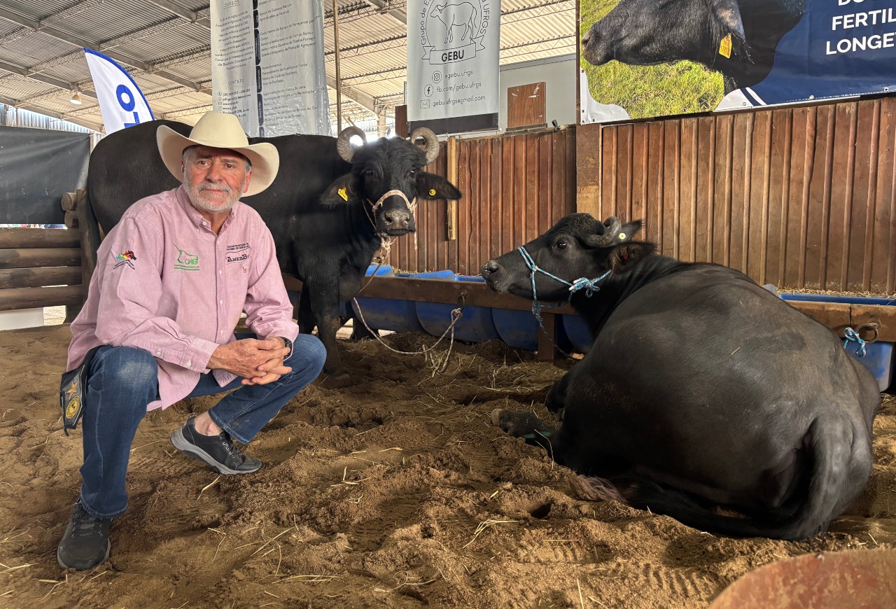 Mexicano julgará búfalos gaúchos na Fenasul Expoleite