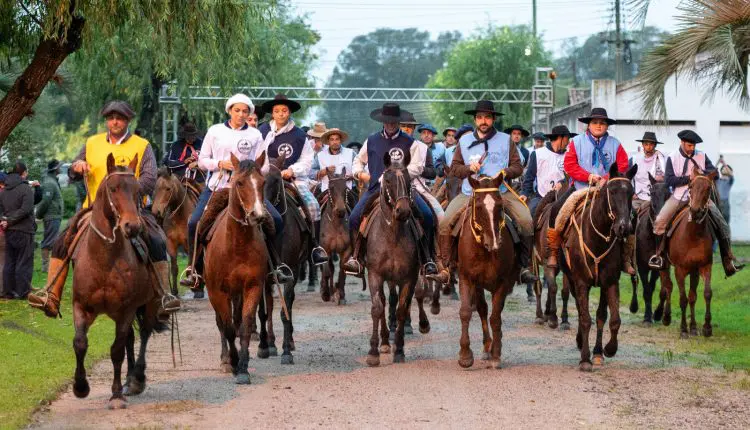 Cavalo Crioulo anuncia a maior Marcha de Resistência da história; confira
