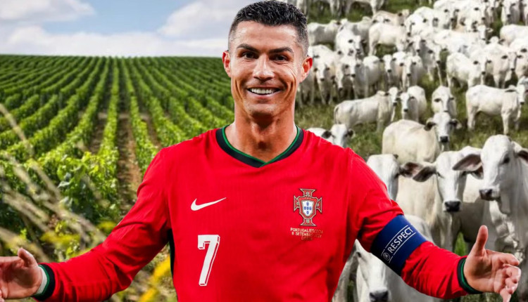 Craque no jogo e no agro: Cristiano Ronaldo é dono do maior império agrícola de Portugal