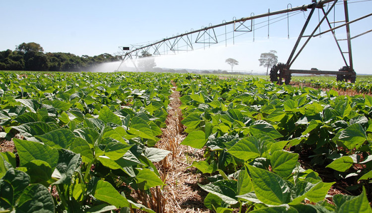 Novo mapa mostra onde há maior potencial para agricultura no Brasil