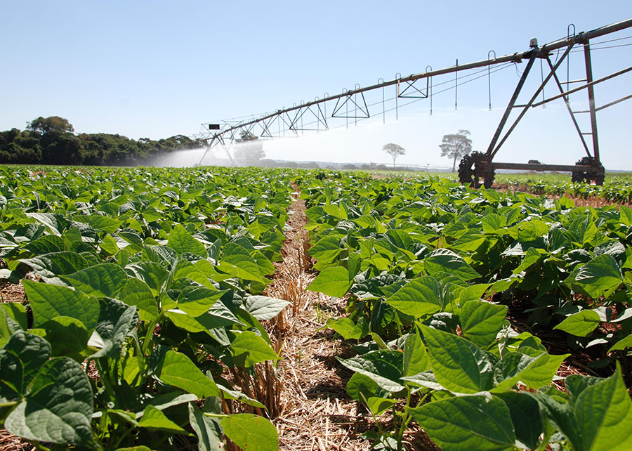 Novo mapa mostra onde há maior potencial para agricultura no Brasil