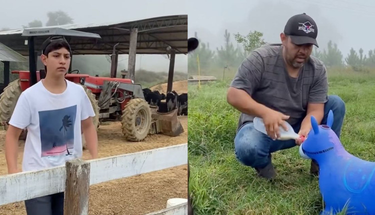 bebe reborn do campo
