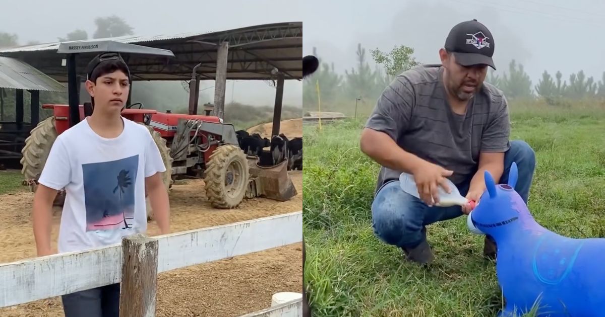 bebe reborn do campo