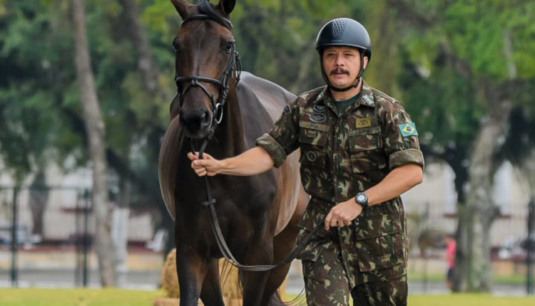 cavalos exercito brasileiro