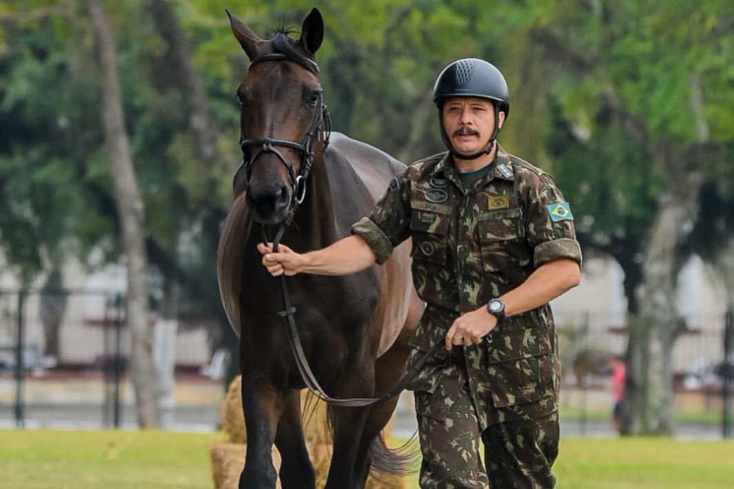 cavalos exercito brasileiro