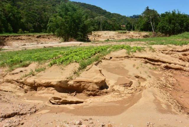 Desastres naturais: SC é referência em agilidade no atendimento às famílias rurais