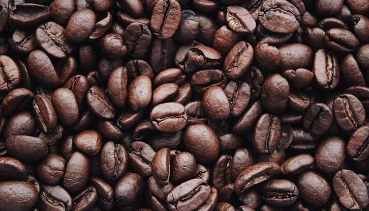 Quais são os principais fatores que impactam a qualidade do café?