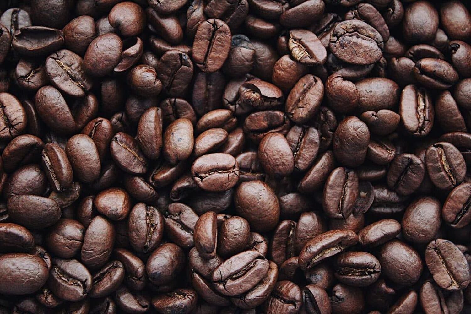 Quais são os principais fatores que impactam a qualidade do café?