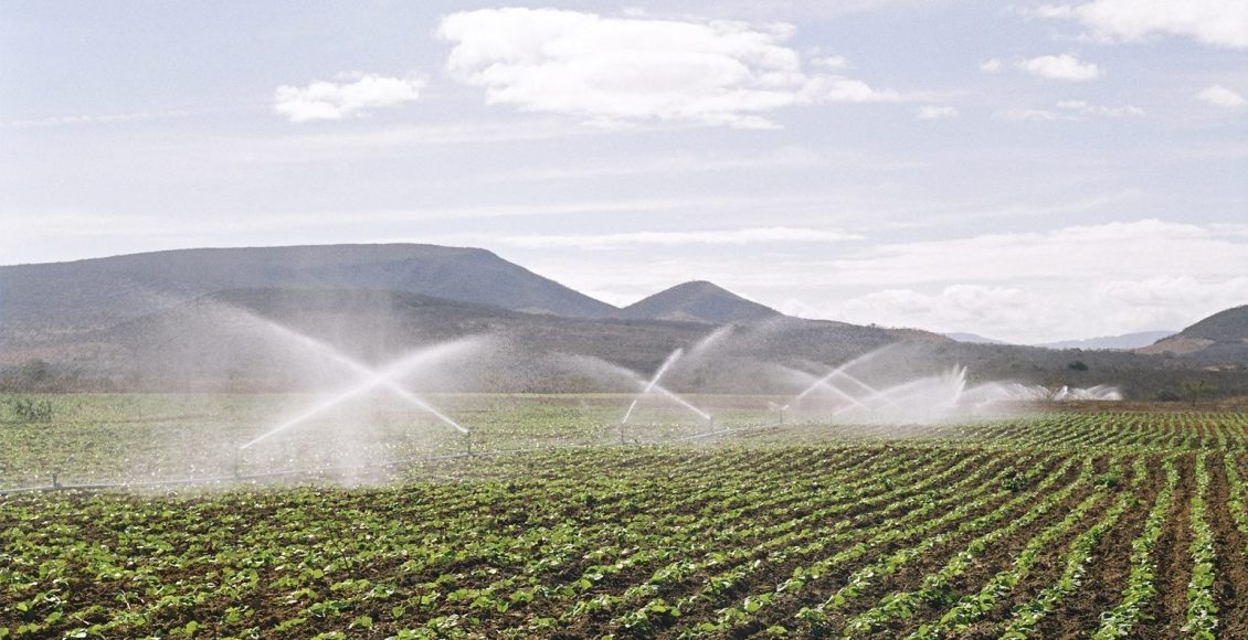 Projetos de irrigação no Oeste Baiano alcançam R$ 633 milhões em valor bruto de produção