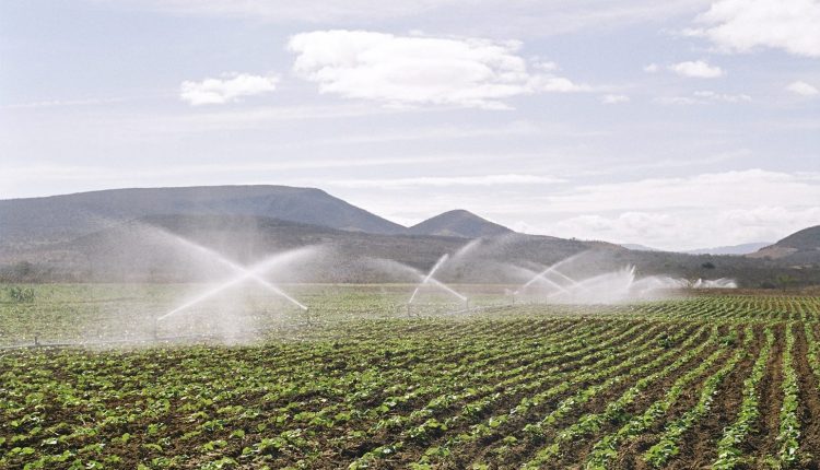 Projetos de irrigação no Oeste Baiano alcançam R$ 633 milhões em valor bruto de produção