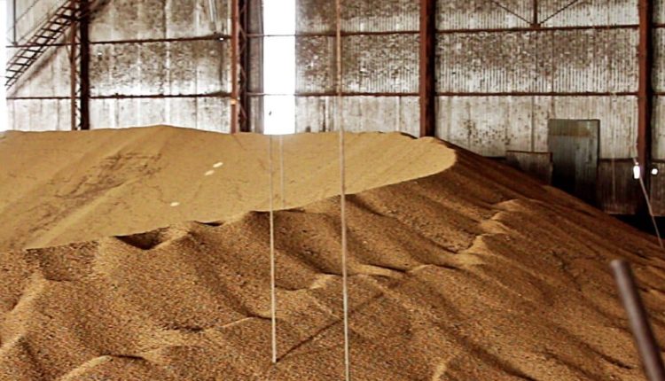 Acidentes fatais em silos de grãos levantam preocupação sobre a segurança no campo